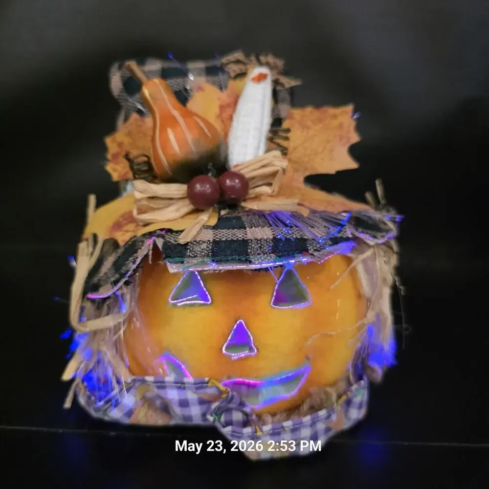 3pc Fiber Optic Halloween Pumpkin Black Cat 8